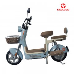 E-SOLOMO EB40 RETRO STYLISH LONG-RANGE ELECTRIC BICYCLE