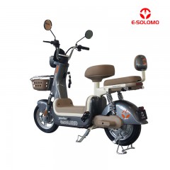 E-SOLOMO EB40 RETRO STYLISH LONG-RANGE ELECTRIC BICYCLE