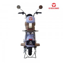 E-SOLOMO EB40 RETRO STYLISH LONG-RANGE ELECTRIC BICYCLE