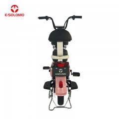 EB-17S Marco de acero de alto carbono bicicleta eléctrica 48V20AH Batería de larga distancia