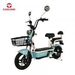 EB-17S Marco de acero de alto carbono bicicleta eléctrica 48V20AH Batería de larga distancia