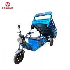 EB-20  Triciclo de Carga de Alta Potencia Capacidad De Peso 500 KG Motor 1000W