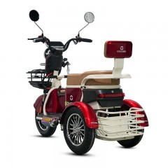 NFC inteligente Triciclo eléctrico E-solomo EB27S con motor de 800W de gran potencia para uso familiar y empresarial